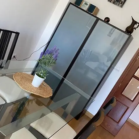 Duplex Junto Al Puente Con Terraza Y Parking Privado A 5m Del Teatro De La Axerquia De Córdoba