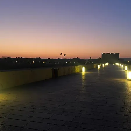 Duplex Junto Al Puente Con Gran Terraza Y Parking Privado Apartamento *